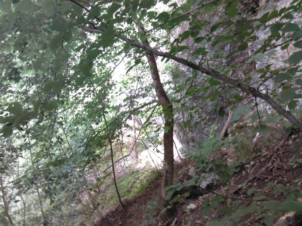 Kletterstrecke